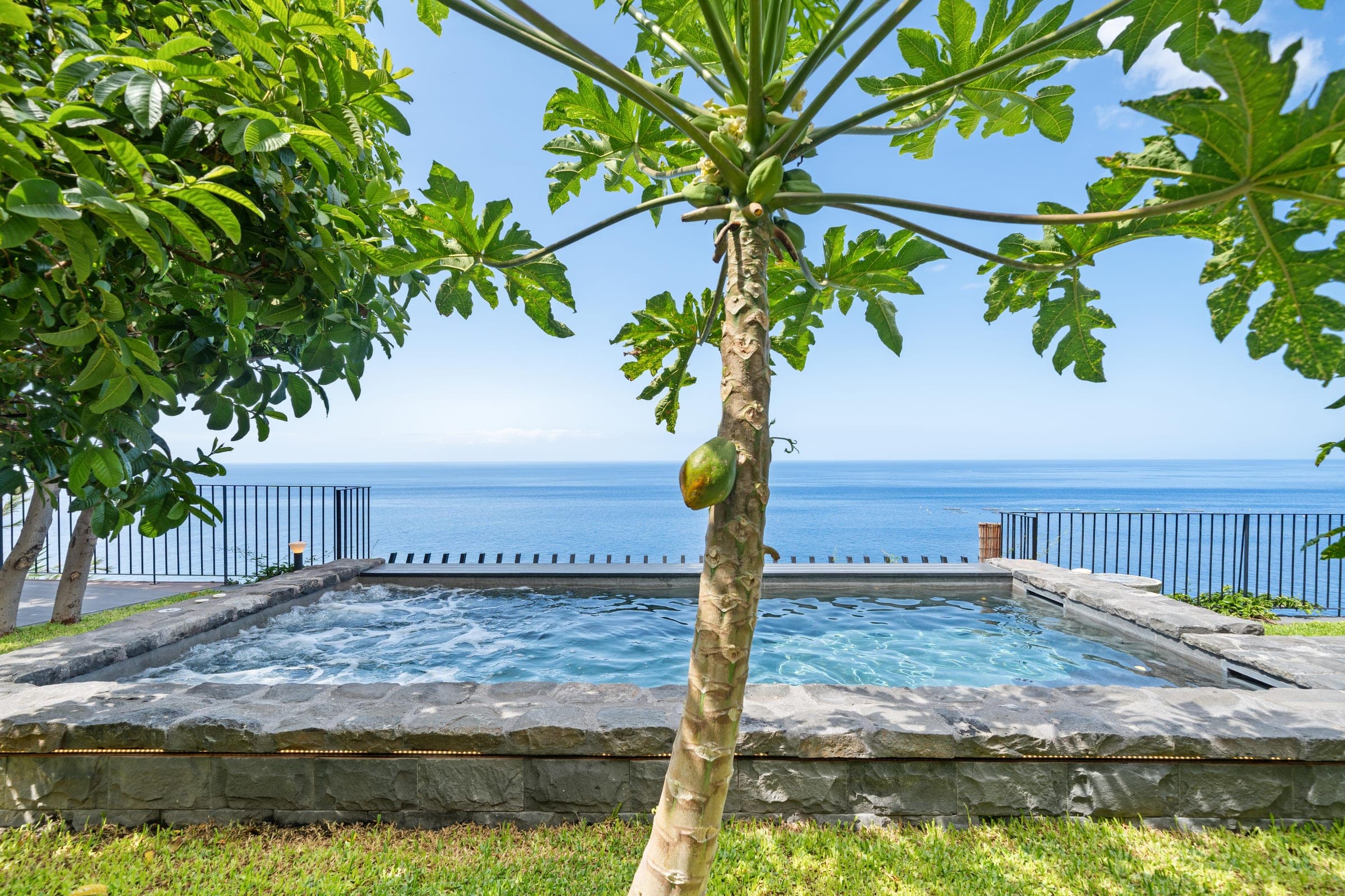Midday. A papaya tree stands on the lawn beside the pool, the Atlantic flat behind it.