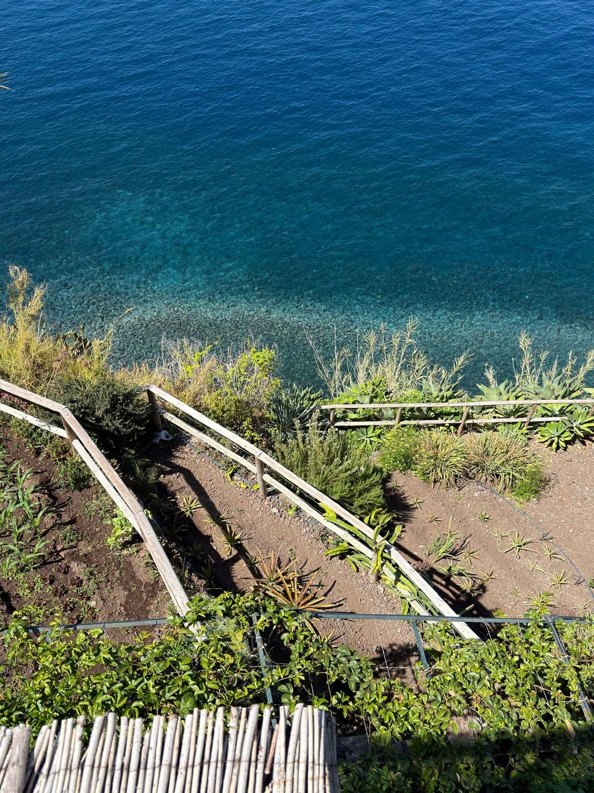 Straight down the terraces: railed steps between the beds, and the pebble shallows below.